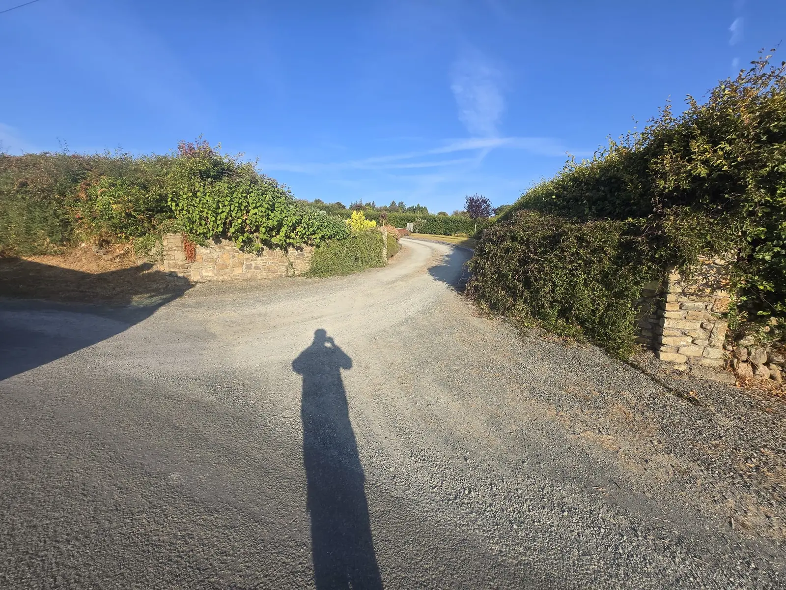 Large Tar & Chip Driveway project by Allsurface Groundworks in County Dublin